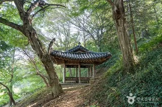 남희정