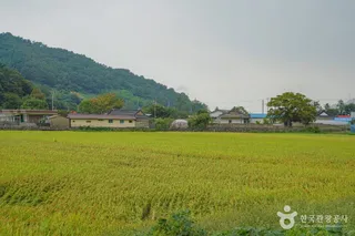 대초마을