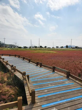태평염생식물원