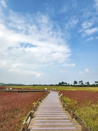 태평염생식물원