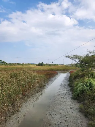 태평염생식물원