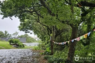광명사(제주)