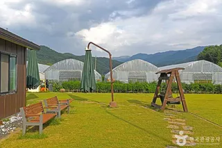 삼생 정보화마을