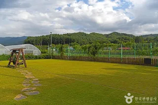 삼생 정보화마을