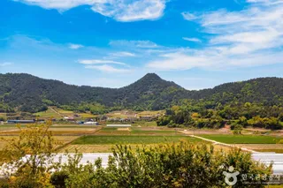 선학동 마을