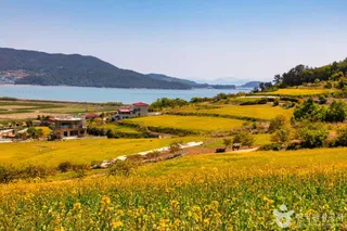 선학동 마을