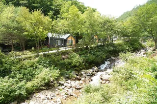 도사곡휴양림