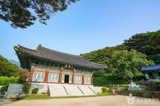 인곡리 모과나무