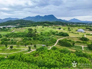 의성 금성면 고분군