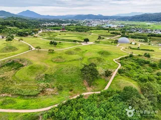 의성 금성면 고분군