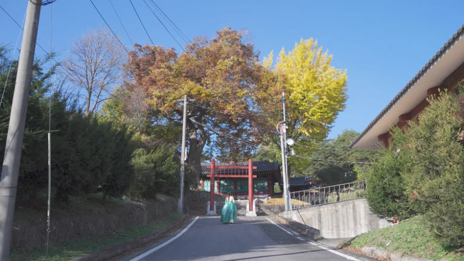 괴산향교
