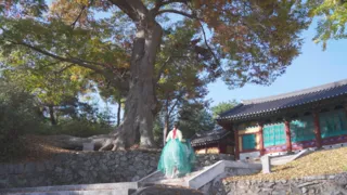 괴산향교