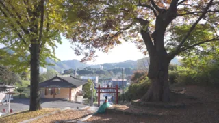 괴산향교
