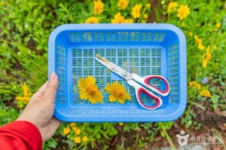 괴산 한지체험박물관