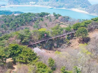 부아산 구름다리