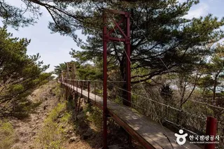 부아산 구름다리