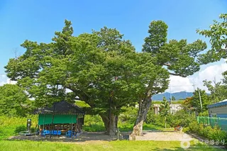 진안 배넘실마을