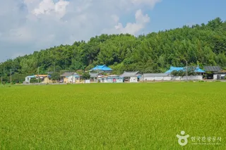 강진 갯들소리마을