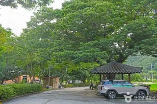 담양 도래수마을