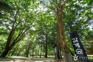 숲옛마을(갈계)