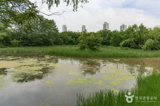 방이동 생태경관 보전지역