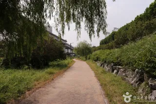 청계8경 버들습지