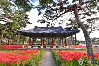 영암 왕인박사마을