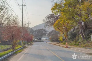 모평마을