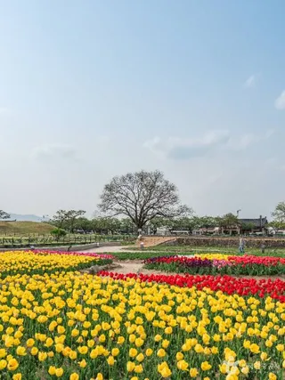경주역사유적지구 [유네스코 세계유산]