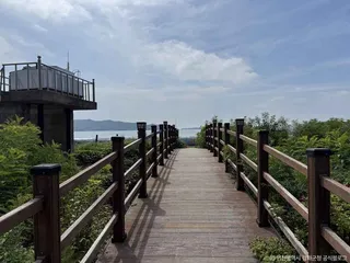 교동도(강화)
