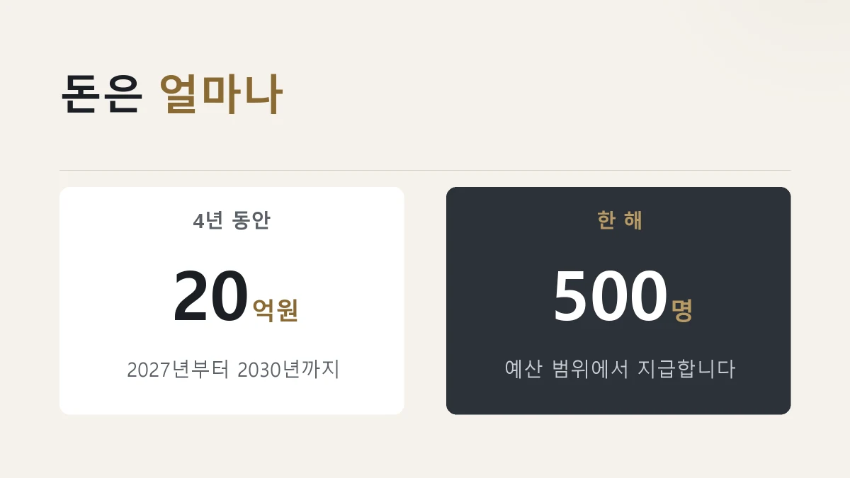 2027년부터 2030년까지 4년간 20억원을 편성한다는 비용추계서 내용을 정리한 그림