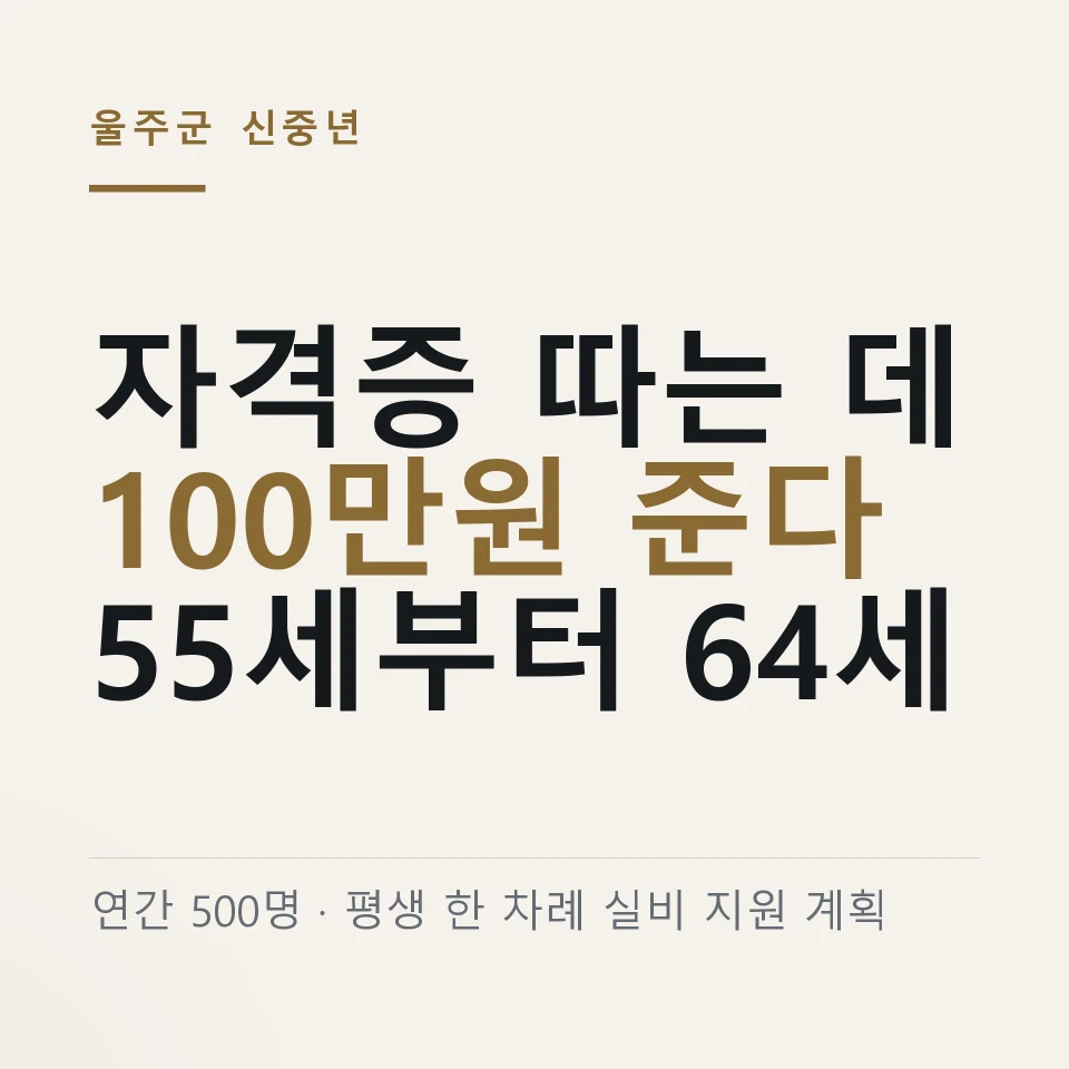 울주군이 55세에서 64세 미취업 군민에게 자격증 취득비 100만원을 지원한다는 계획을 정리한 그림