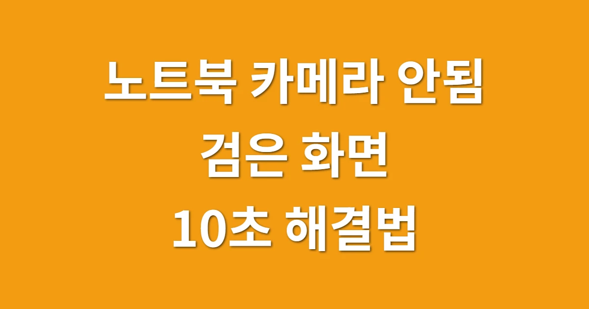노트북 카메라 안됨 검은 화면, 줌 화상회의 전 10초 해결법 관련 썸네일