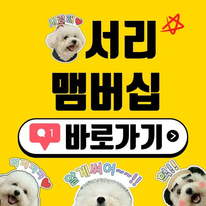 서리 맴버십