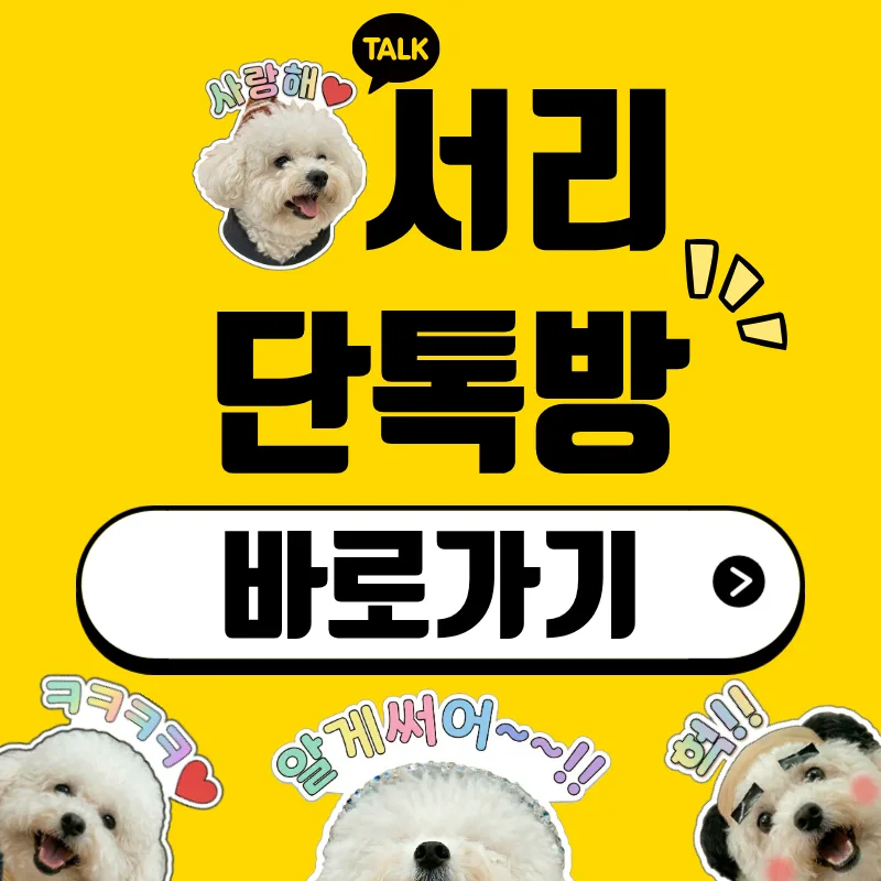 서리 카톡방