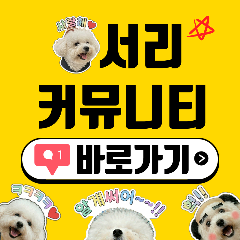 서리 커뮤니티