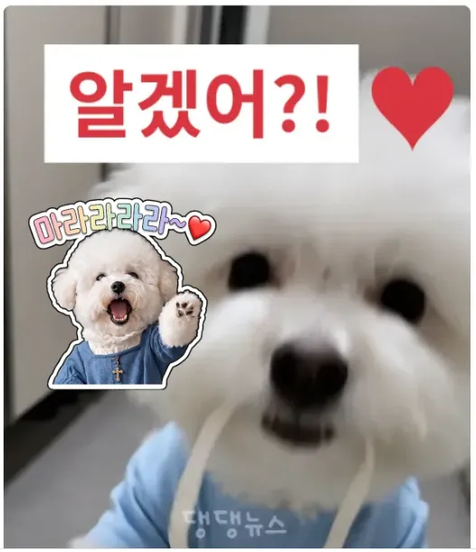 그림 편집 기능 추가 2