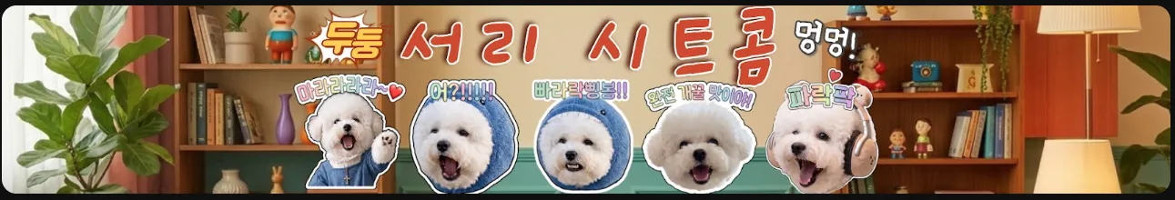 댕댕뉴스 서리 시트콤 유튜브 새로 오픈! 3
